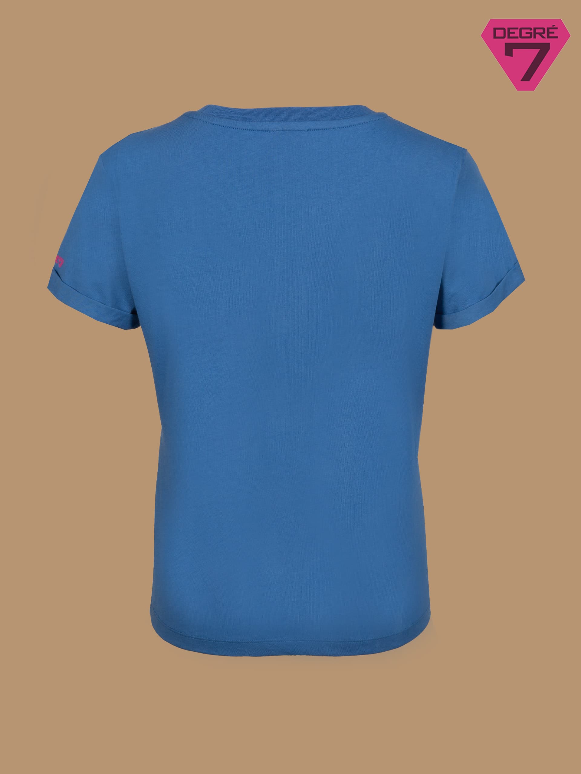 BLEUET